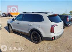 Kia Telluride